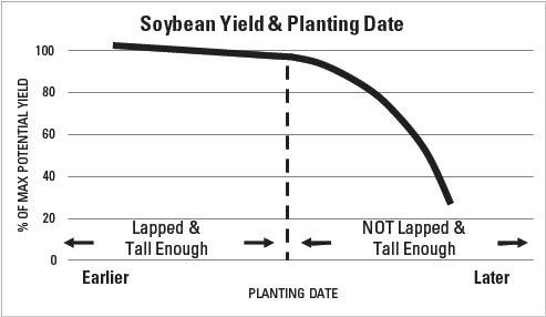 Yield declines if canopy is not able to close.